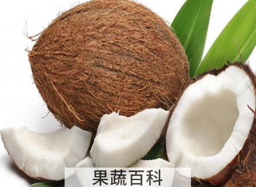 椰子油的功效与作用及禁忌