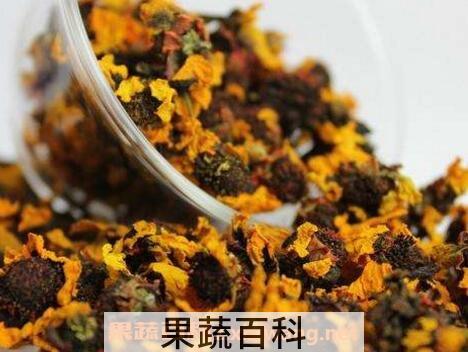 雪菊与什么相克