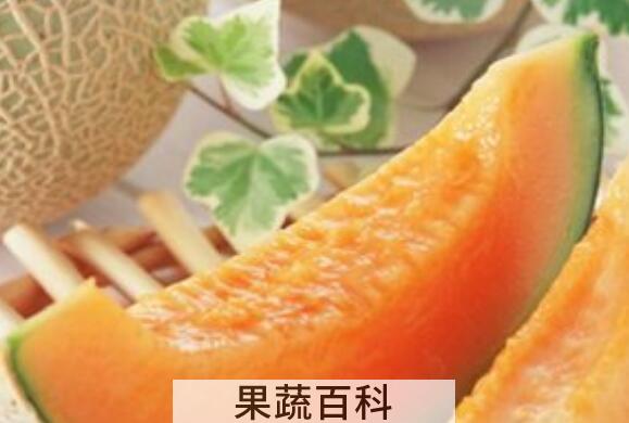 红心洋香瓜功效与作用