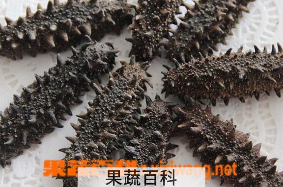 果蔬百科如何挑选干海参