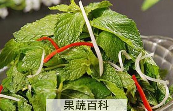 薄荷叶怎么吃好 薄荷叶的食用方法