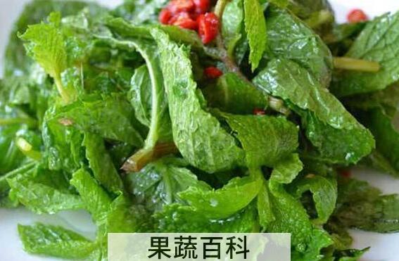 薄荷叶怎么吃好 薄荷叶的食用方法