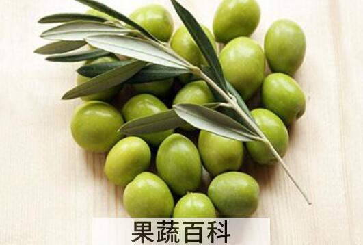 滇橄榄的作用与功效