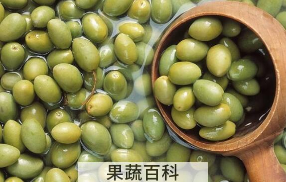 滇橄榄的作用与功效