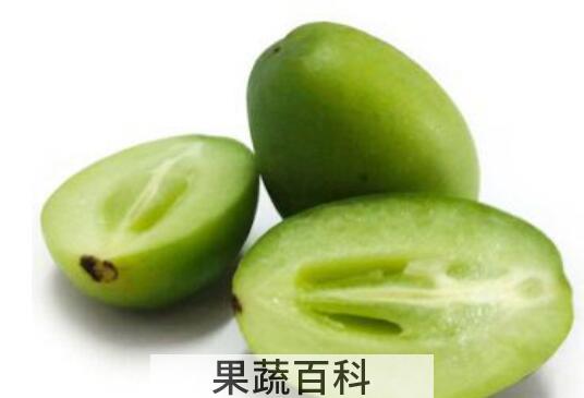 云南野生橄榄果的功效与作用