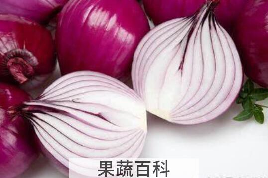 洋葱可直接打汁喝吗 洋葱打汁喝有什么好处