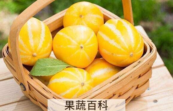 洋香瓜是什么瓜 洋香瓜的功效与作用