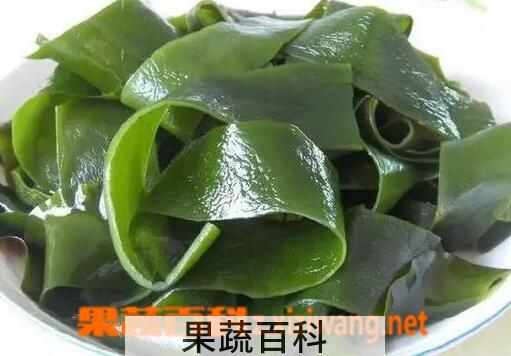 果蔬百科海带的功效与作用
