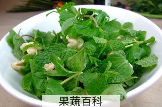 薄荷草怎么吃 薄荷草的家常做法