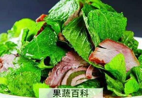 薄荷草怎么吃 薄荷草的家常做法