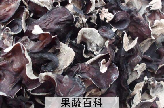 毛木耳的功效和作用 