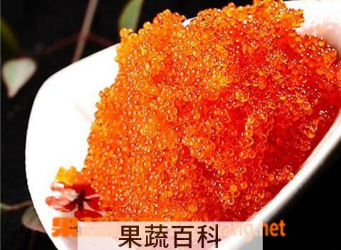 果蔬百科鱼籽的功效与作用