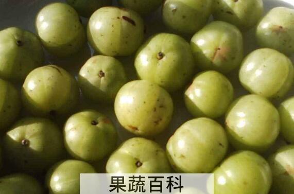 女人吃橄榄的好处有哪些 女人吃橄榄的坏处