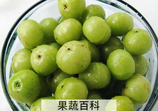 橄榄果的功效与作用 吃橄榄果的好处