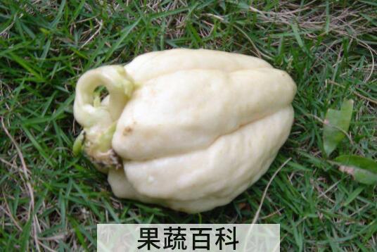 吃白佛手瓜的好处与坏处