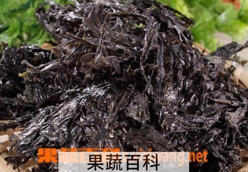 果蔬百科吃紫菜的好处有哪些