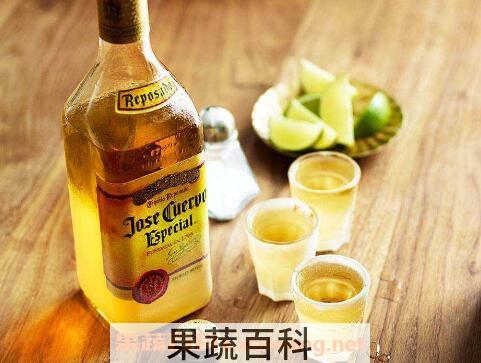 龙舌兰酒怎么喝 龙舌兰酒的正确喝法