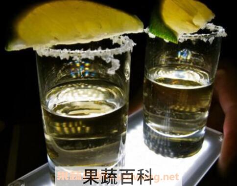 龙舌兰酒怎么喝 龙舌兰酒的正确喝法