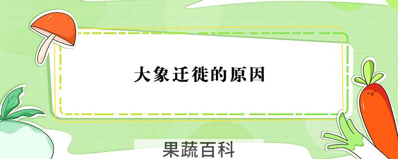 大象迁徙的原因