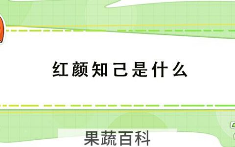 红颜知己是什么