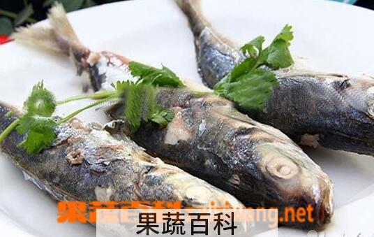 果蔬百科巴浪鱼的功效与作用