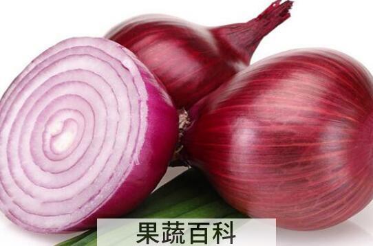 生吃圆葱的作用及功效
