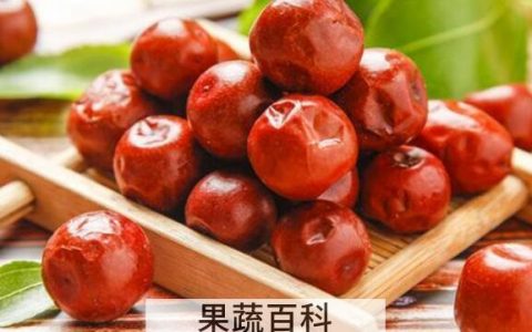 干酸枣怎么吃 干酸枣的食用方法