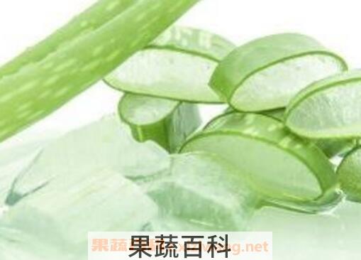 吃芦荟有什么好处