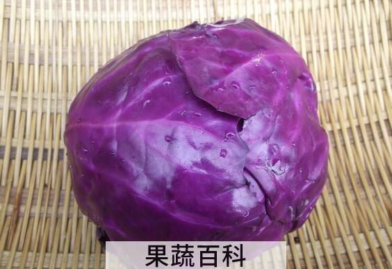 紫白菜的功效与作用