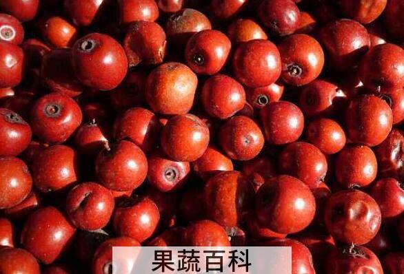 酸枣的吃法和功效