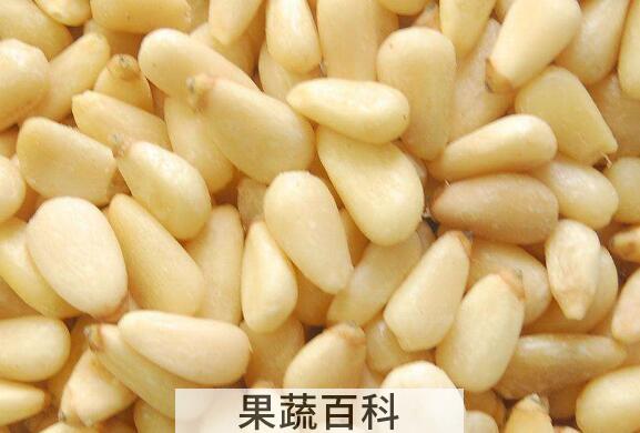 松子仁的功效与作用 松子仁的禁忌