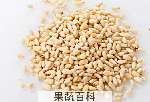松子仁的功效与作用 松子仁的禁忌