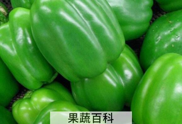 甜椒的功效与作用 甜椒的食用方法