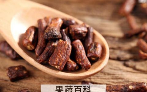 蒲公英根茶怎么泡正确 蒲公英根茶的冲泡方法