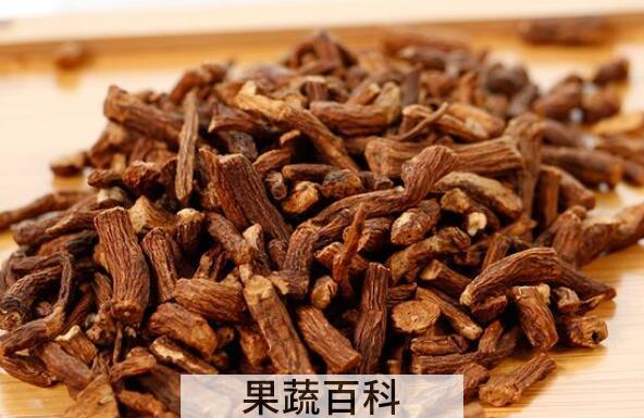 蒲公英根茶怎么泡正确