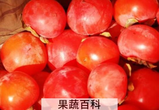 柿子醋的功效与作用 柿子醋的禁忌
