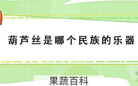 葫芦丝是哪个民族的乐器