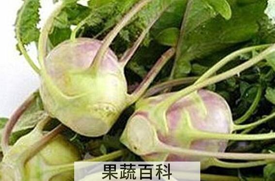 女人吃大头菜的好处与坏处