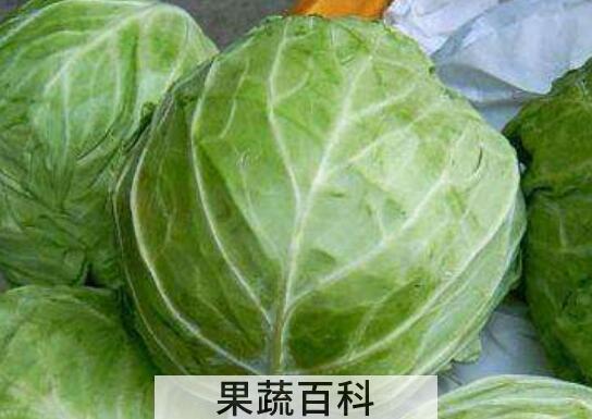 包心菜的功效与作用及禁忌