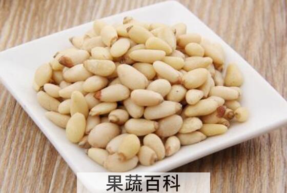 松子仁的功效与作用及禁忌