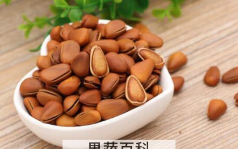 松子生吃与熟吃的区别 松子怎么吃好