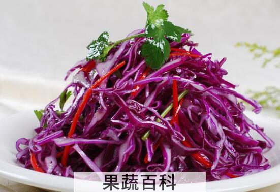 紫甘蓝怎么做好吃 紫甘蓝的家常做法教程