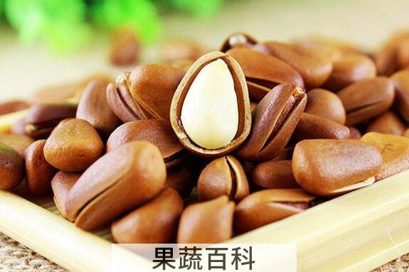 松子的功效与作用 松子的禁忌与副作用