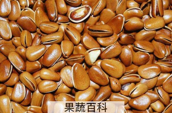 松子皮的功效与作用 吃松子的好处