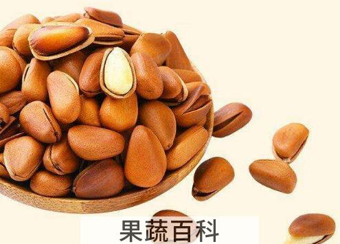 松子皮的功效与作用 吃松子的好处