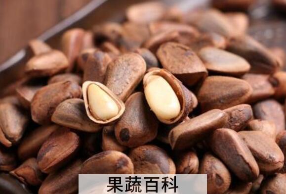 红松籽的功效与作用