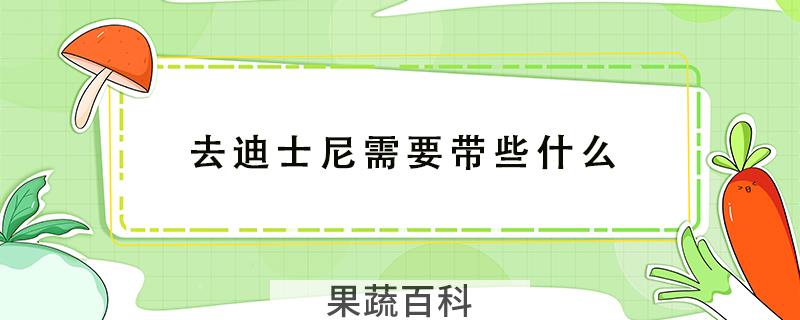 去迪士尼需要带些什么
