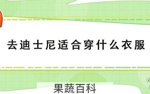 去迪士尼适合穿什么衣服