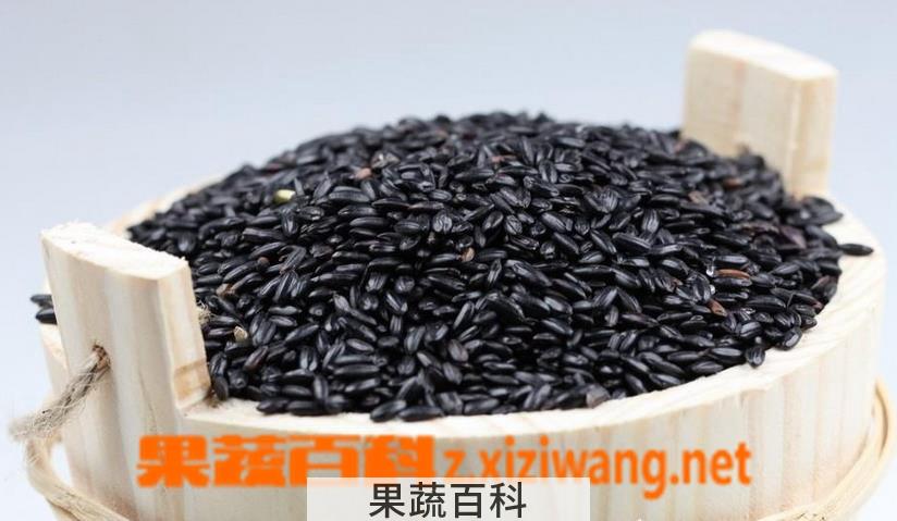 果蔬百科黑米怎么吃 黑米的功效与作用