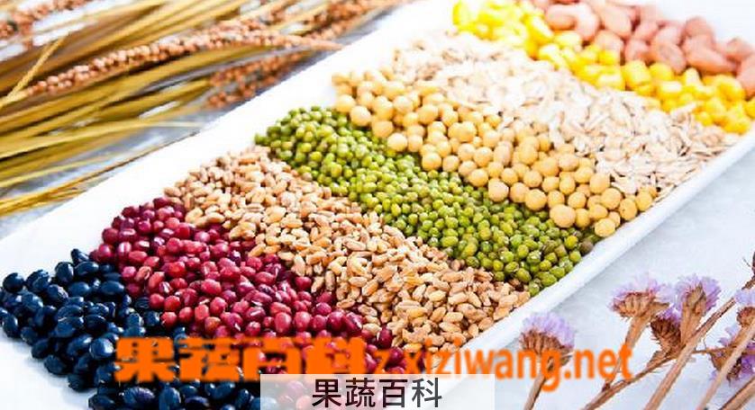 果蔬百科五谷杂粮粥的做法是什么